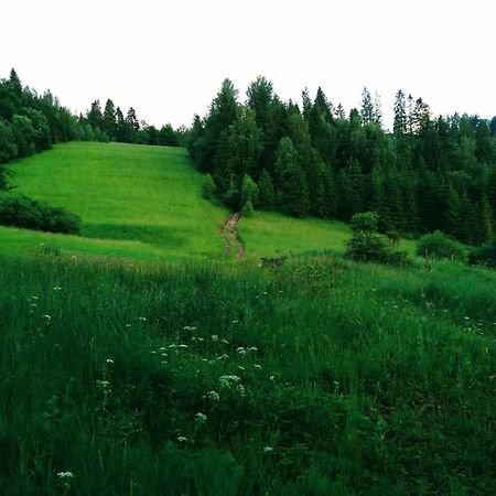 Domek W Gorach Pod Rysianka Zlatna المظهر الخارجي الصورة