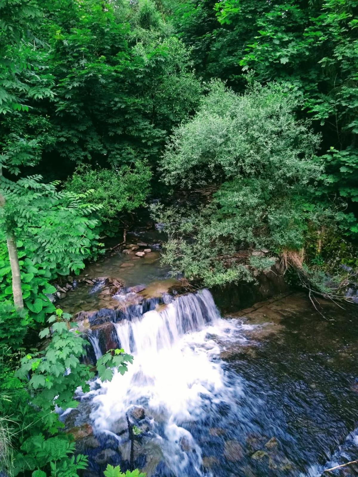 Domek W Gorach Pod Rysianka Zlatna المظهر الخارجي الصورة